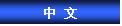 Text Box: 中  文